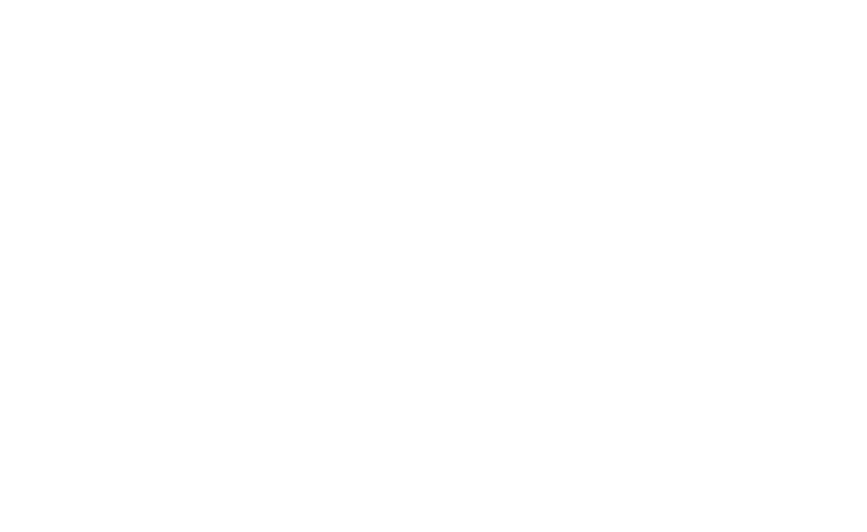 SAYL Logo